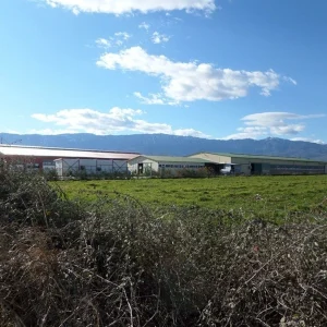 Ποιμνιοστάσιο