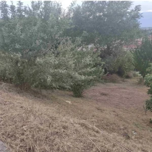 Οικόπεδο